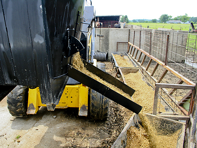 Feeding DDG to cattle can save money according to a UNL study. (Courtesy Sarah Carothers)